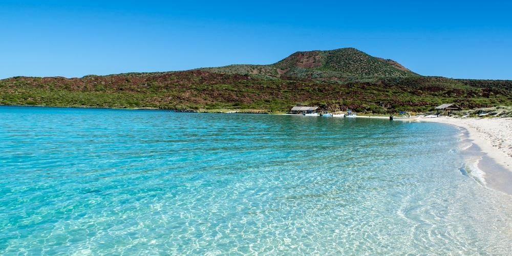 Isla Coronado: Encuentro con lobos marinos y playas de arena blanca